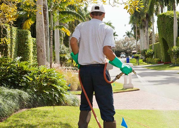 About Naugatuck CT Pest Control Pros